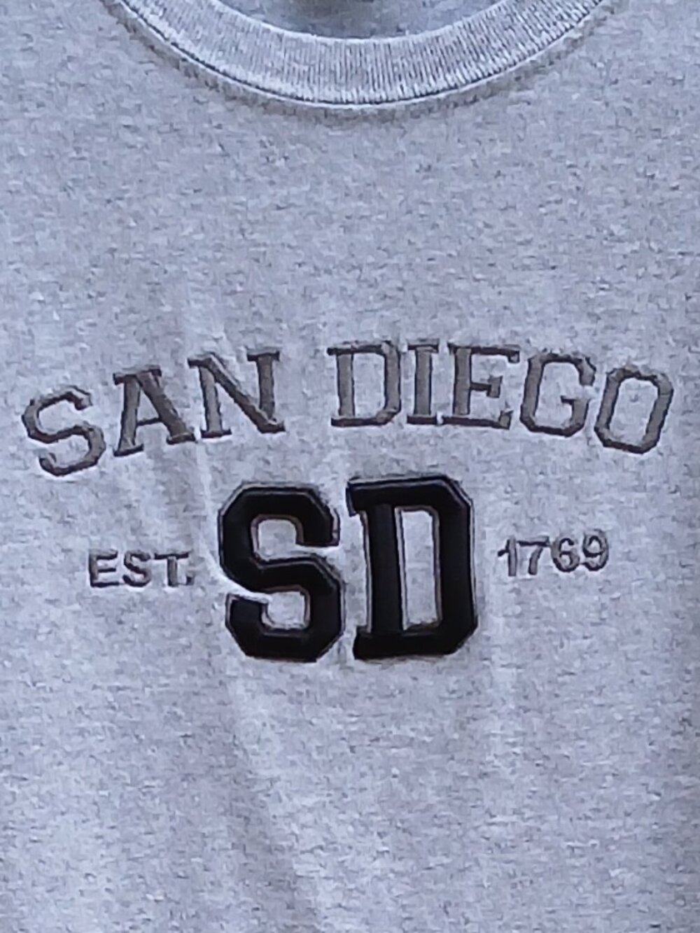 Gildan Heather Gray San Diego T-Shirt - Men's/Unisex